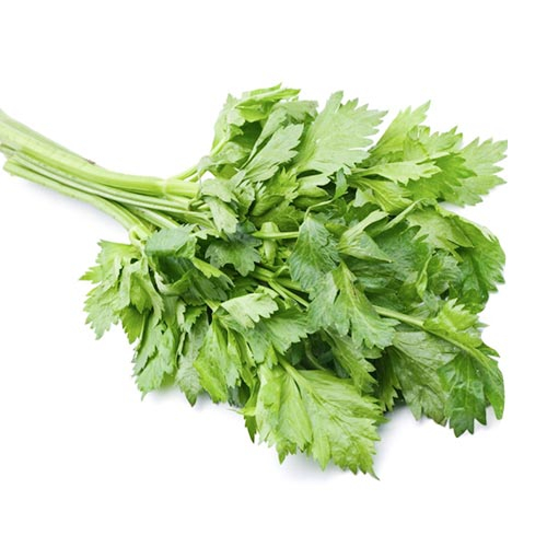 Soup Celery Bunch Each