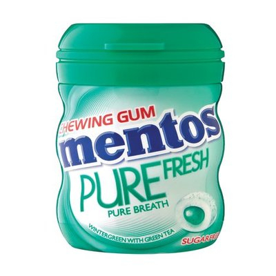 Mentos Gum Wintergreen 1 Each