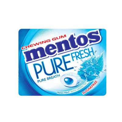 Mentos Gum Wintergreen 1 Each